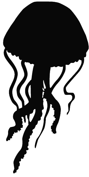 jellyfish silhouette